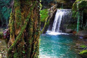 بهشت گمشده شیراز (فارس)