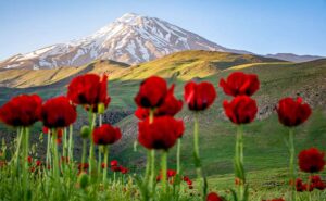 دشت لار (دماوند)